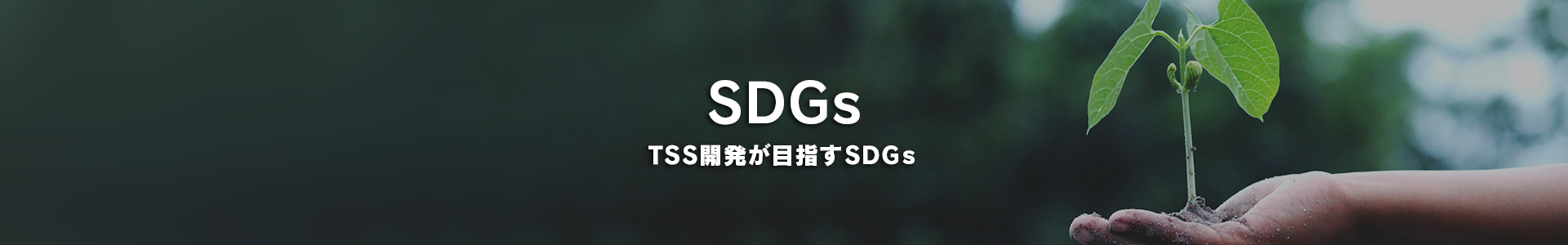 TSS開発が目指すSDGs